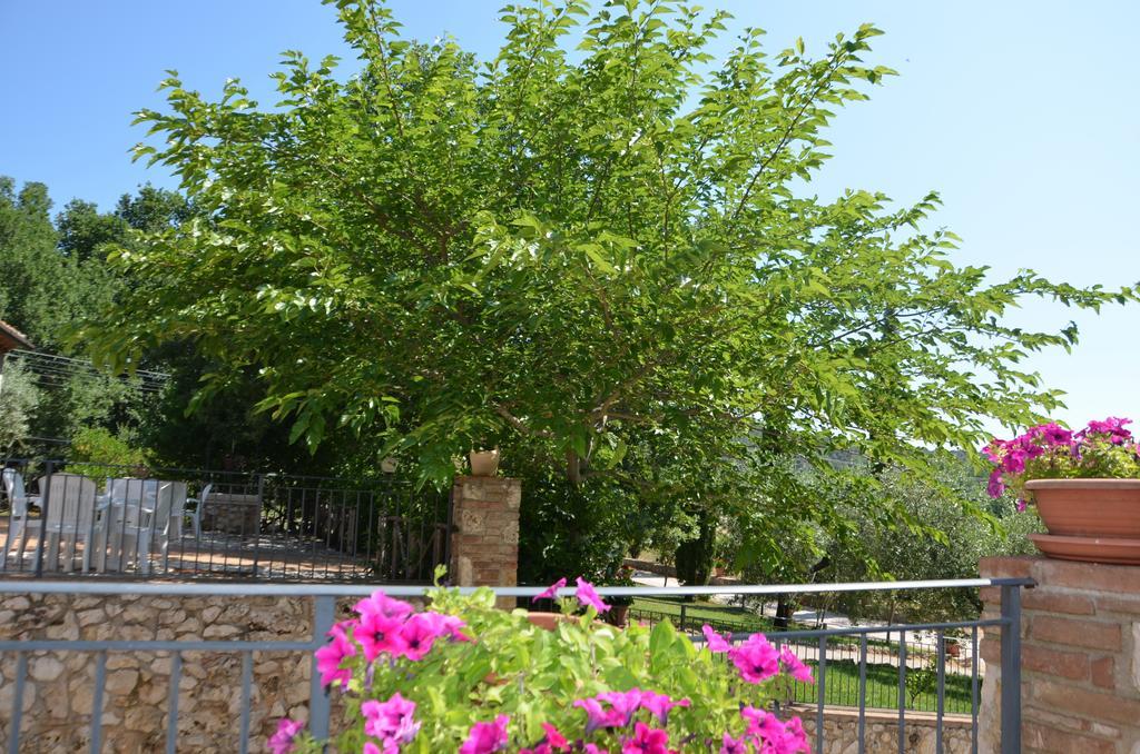Casale Santa Caterina Aparthotel Amelia Exterior photo