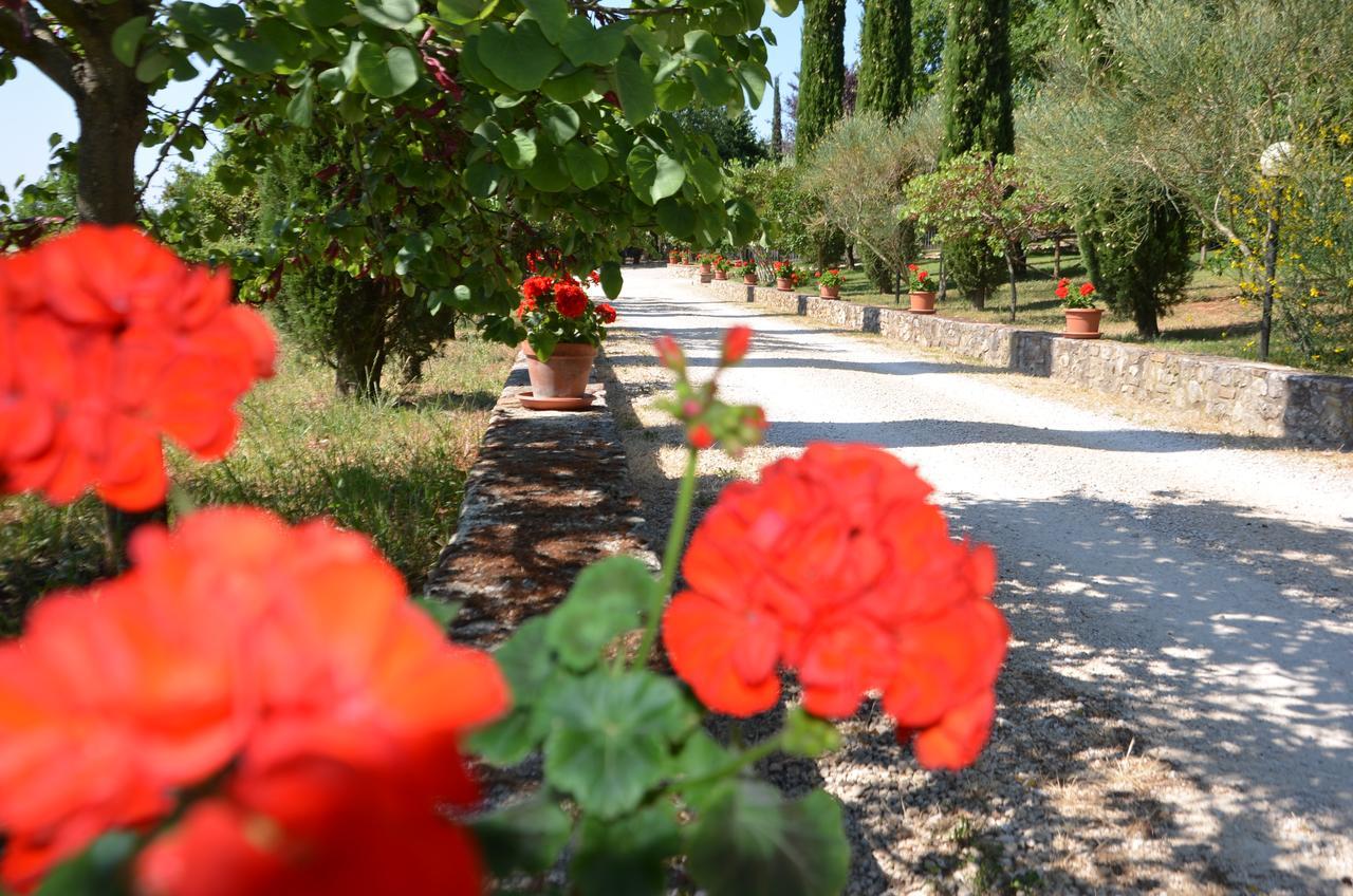 Casale Santa Caterina Aparthotel Amelia Exterior photo